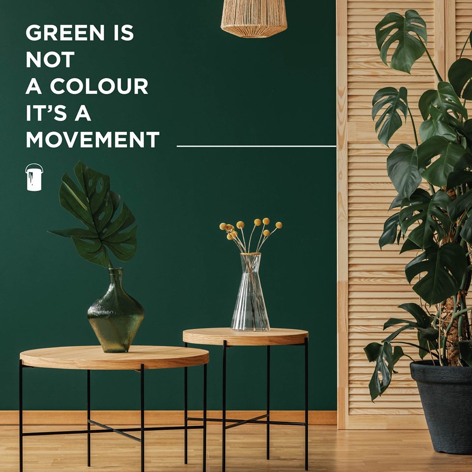 59978643_2650101641728769_5889960249556729856_n 59978643_2650101641728769_5889960249556729856_n